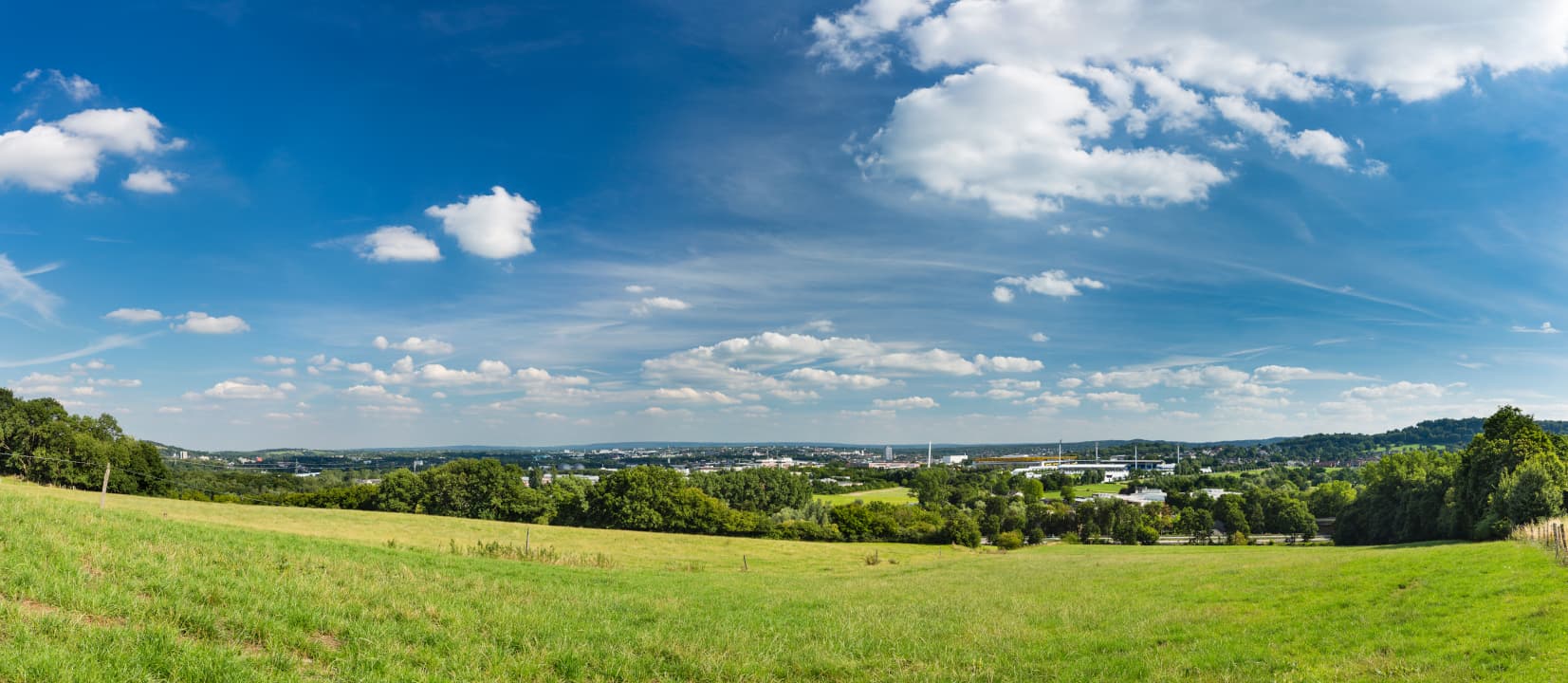 Hintergrund Rasen in Wind